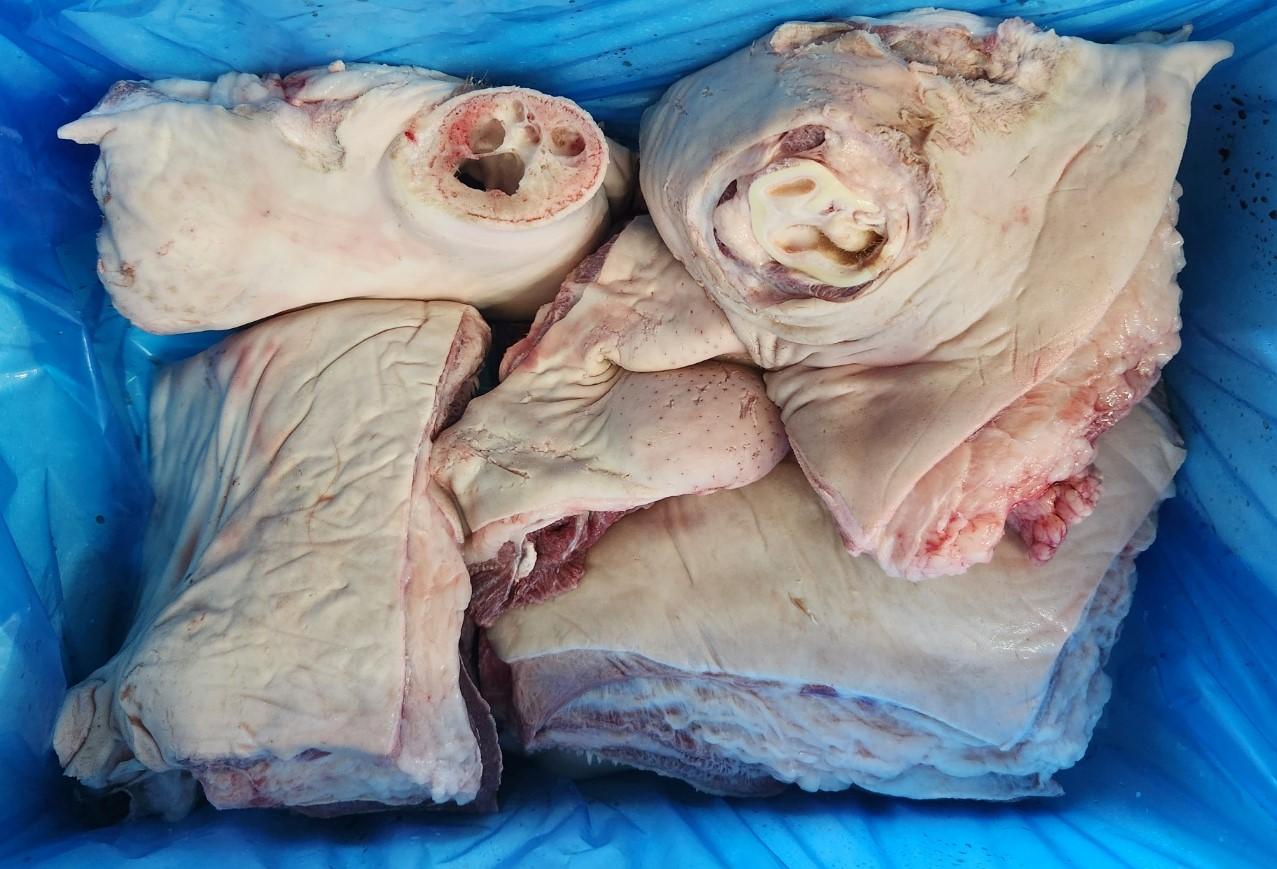 신화원 한우거세 소머리 반마리 (5등분) 냉동 (12kg이상)